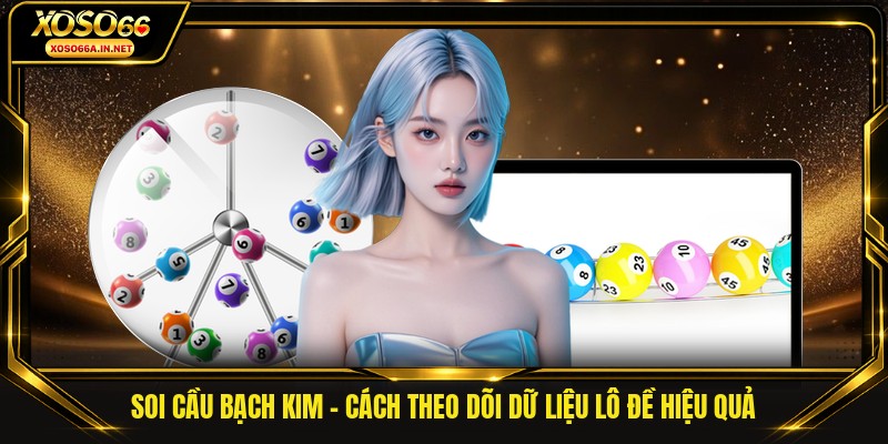 Soi Cầu Bạch Kim - Cách Theo Dõi Dữ Liệu Lô Đề Hiệu Quả